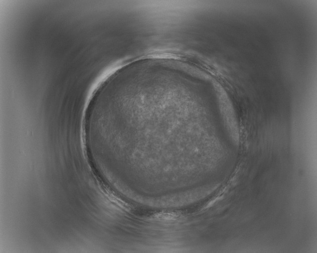 X0000056340294200509232046