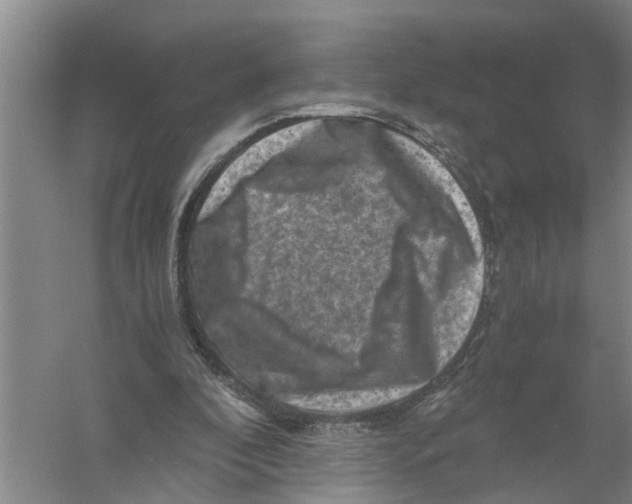 X0000056340296200509232046