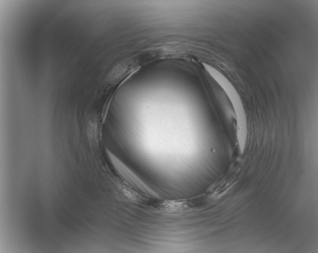 X0000056340333200509232046