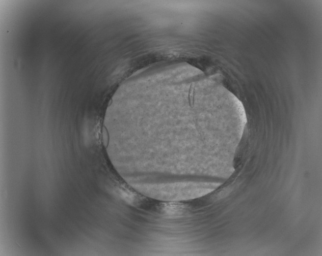 X0000056340336200509232045