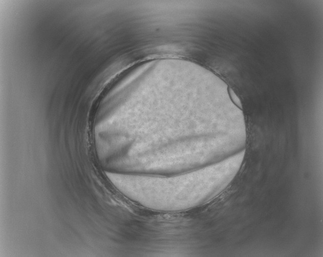 X0000056340338200509232045