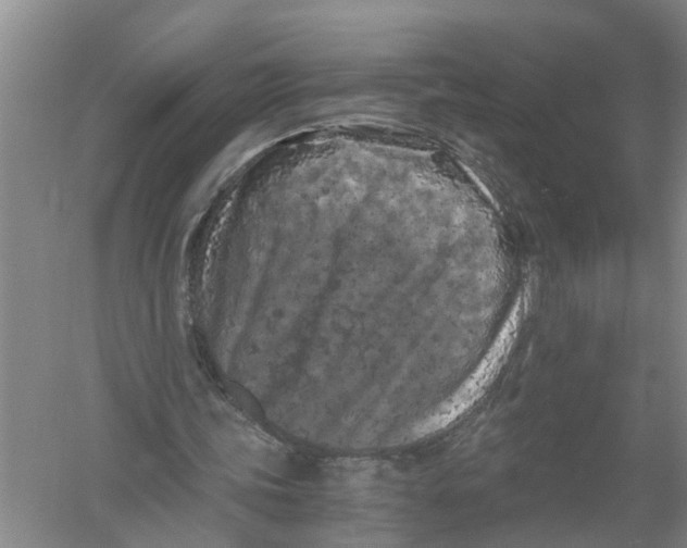 X0000056340339200509232045