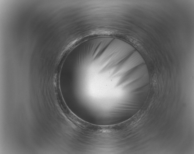 X0000056340352200509232045