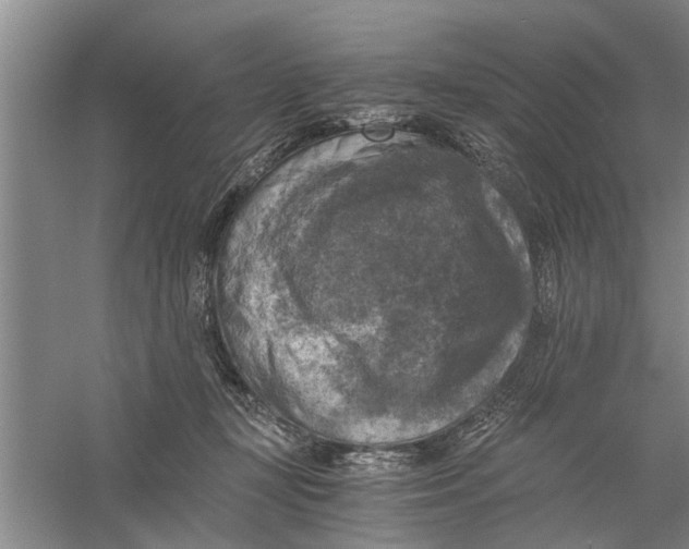 X0000056340367200509232045