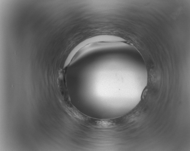 X0000056340380200509232045