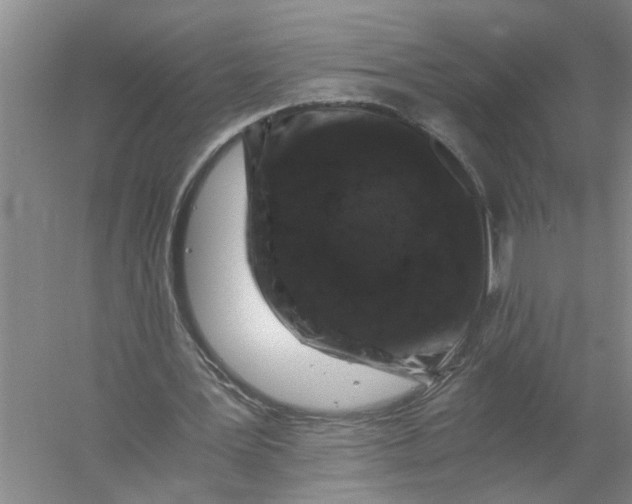 X0000056340387200509232045