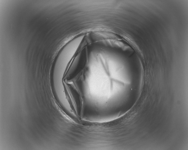 X0000056340389200509232045
