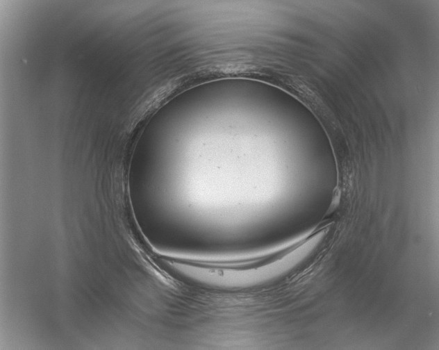 X0000056340397200509232044