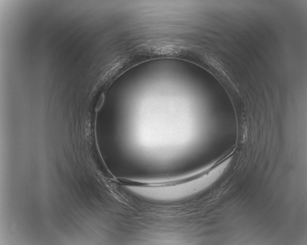 X0000056340407200509232044