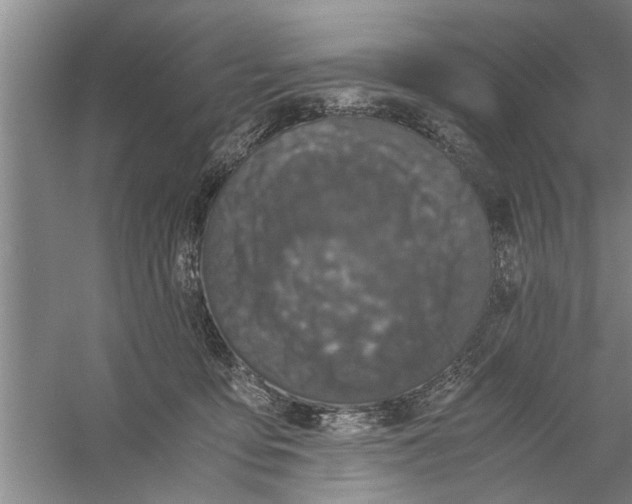 X0000056340419200509232044
