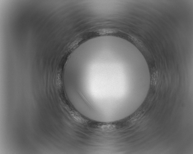 X0000056340426200509232044
