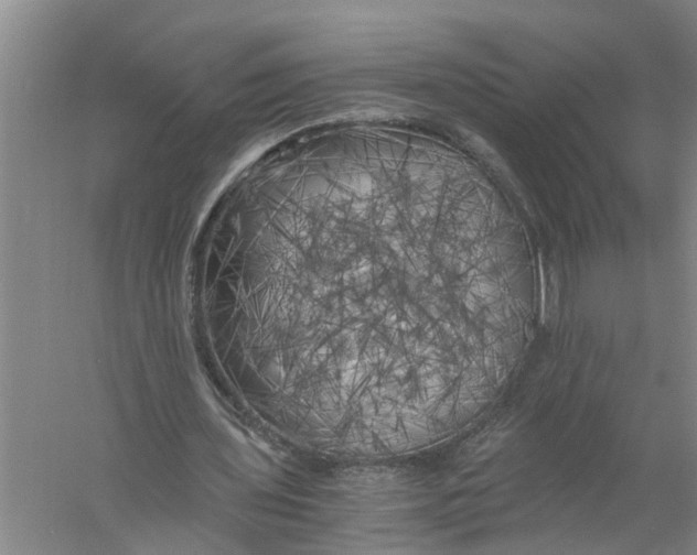 X0000056340435200509232043