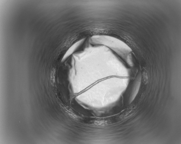 X0000056340458200509232043