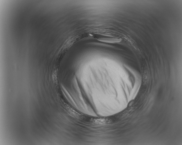X0000056340473200509232044