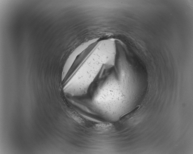 X0000056340480200509232044