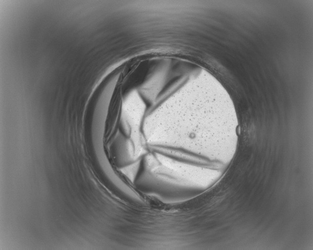 X0000056340484200509232043