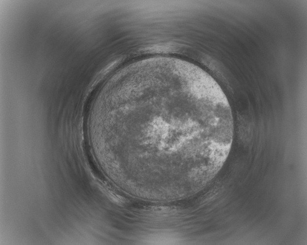 X0000056340486200509232043