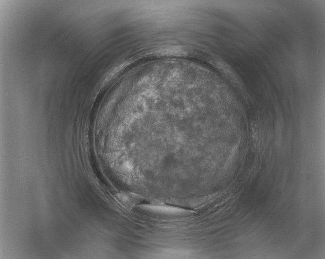 X0000056340487200509232043