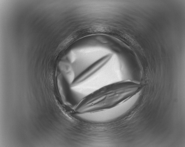 X0000056340489200509232043