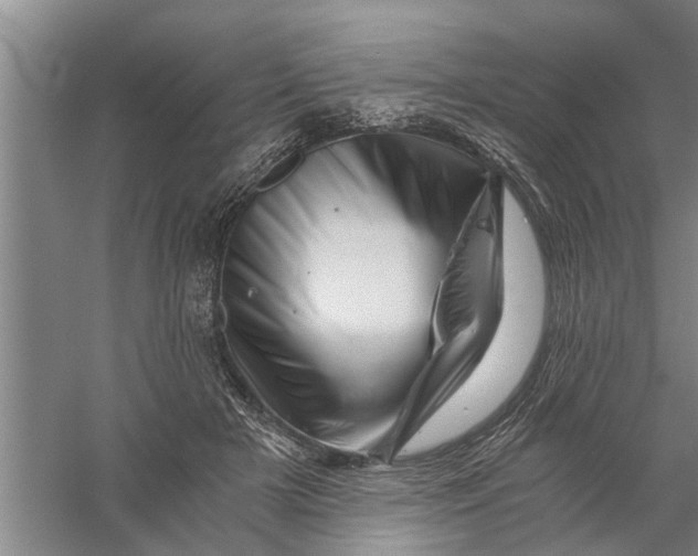 X0000056340505200509232043