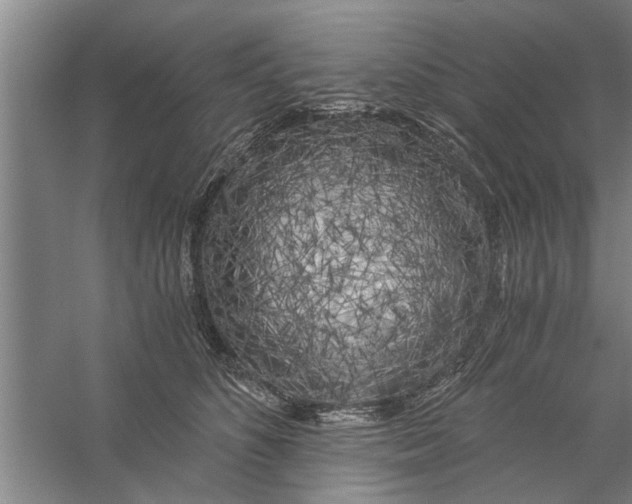 X0000056340516200509232042