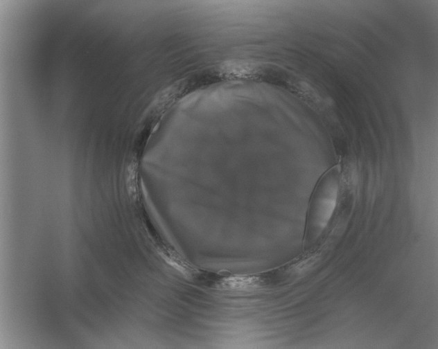 X0000056340526200509232042