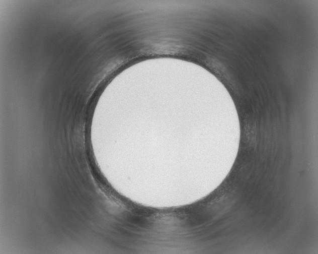 X0000056340534200509232041