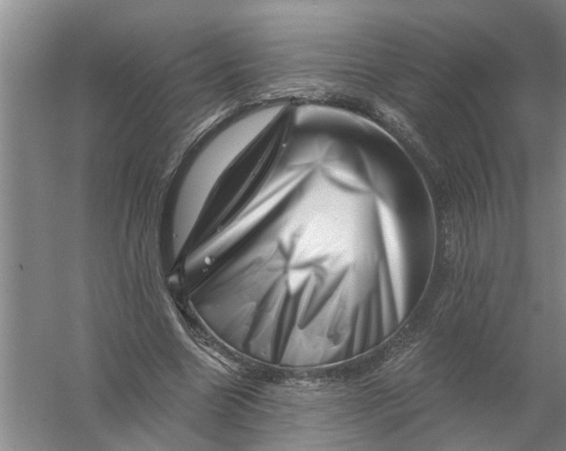 X0000056340538200509232042