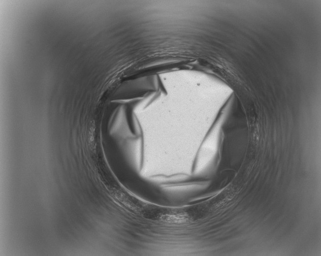 X0000056340548200509232042