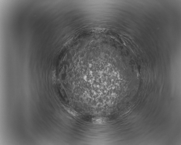 X0000056340564200509232042