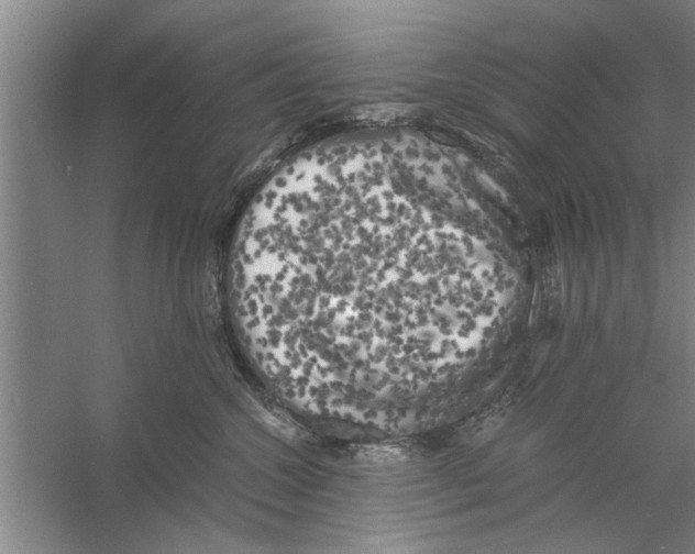 X0000056340572200509232042