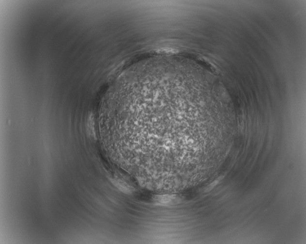 X0000056340575200509232042
