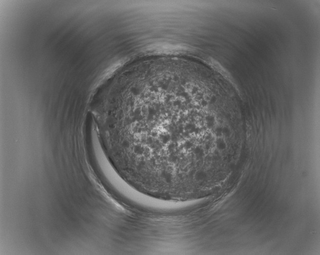 X0000056340581200509232041