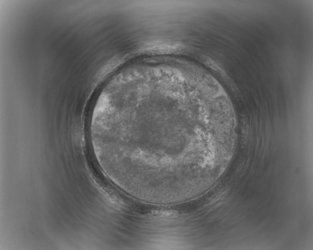 X0000056340582200509232041