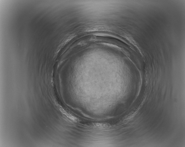 X0000056340585200509232041
