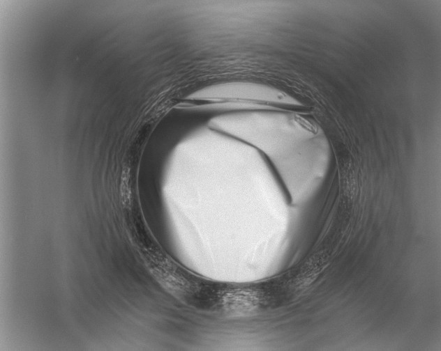 X0000056340599200509232041