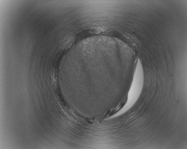 X0000056340607200509232041