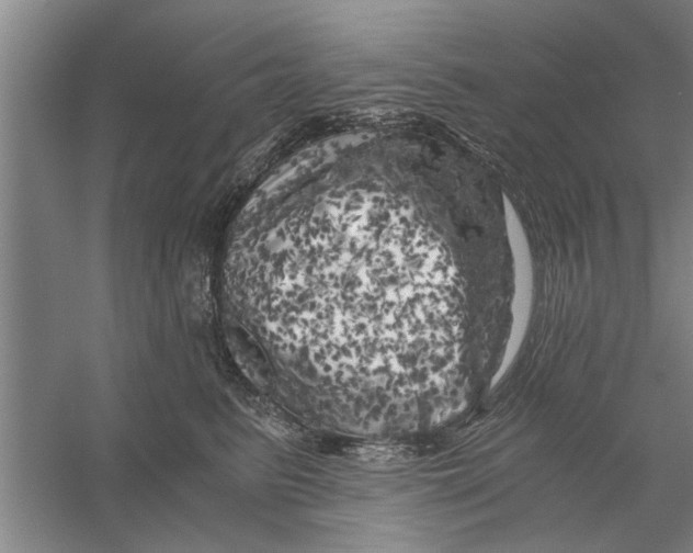 X0000056340615200509232041