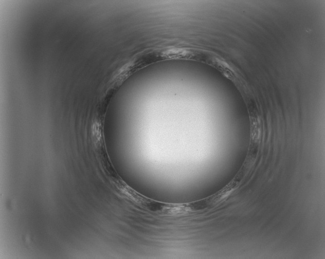 X0000056340621200509232041
