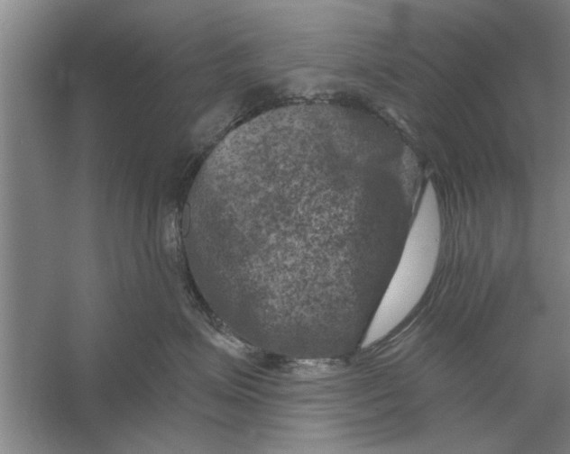 X0000056340623200509232041