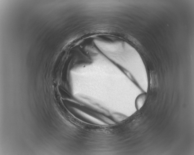 X0000056340627200509232040