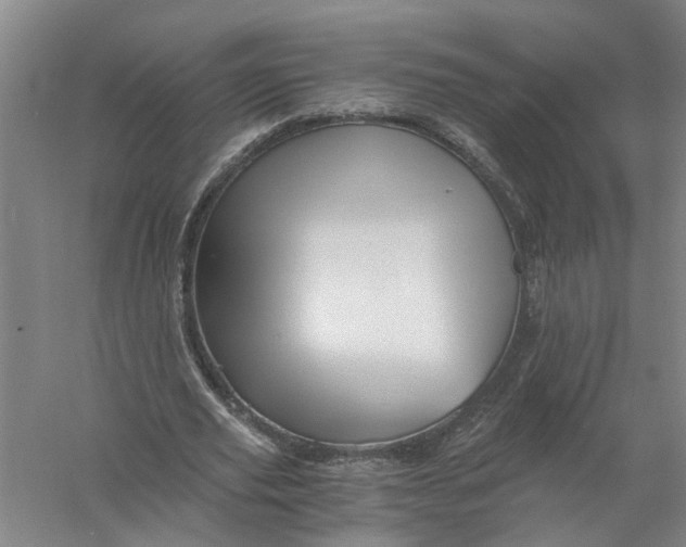 X0000056340629200509232040