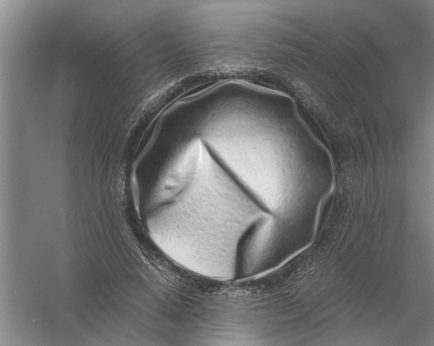 X0000056340640200509232040