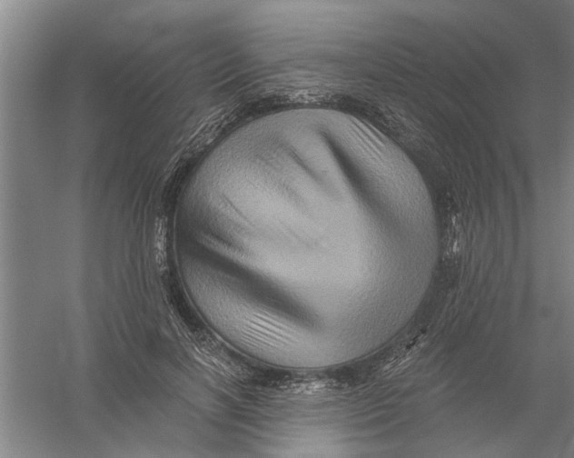 X0000056340646200509232040