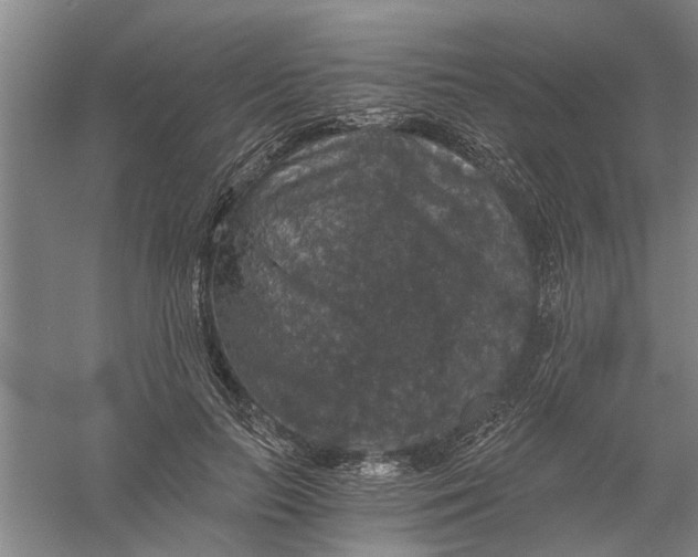 X0000056340647200509232040