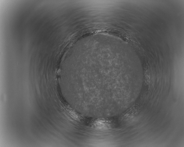 X0000056340657200509232040