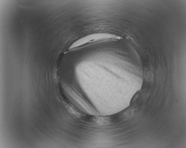 X0000056340670200509232041
