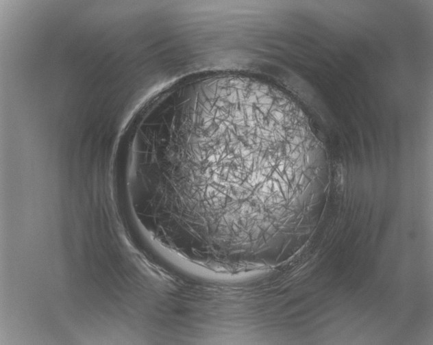 X0000056340676200509232040