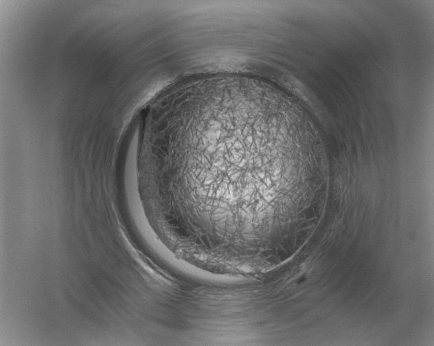 X0000056340677200509232040