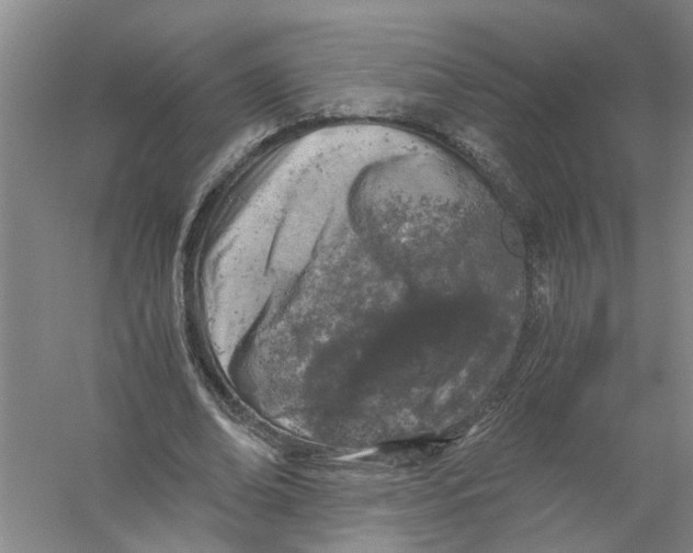 X0000056340678200509232040